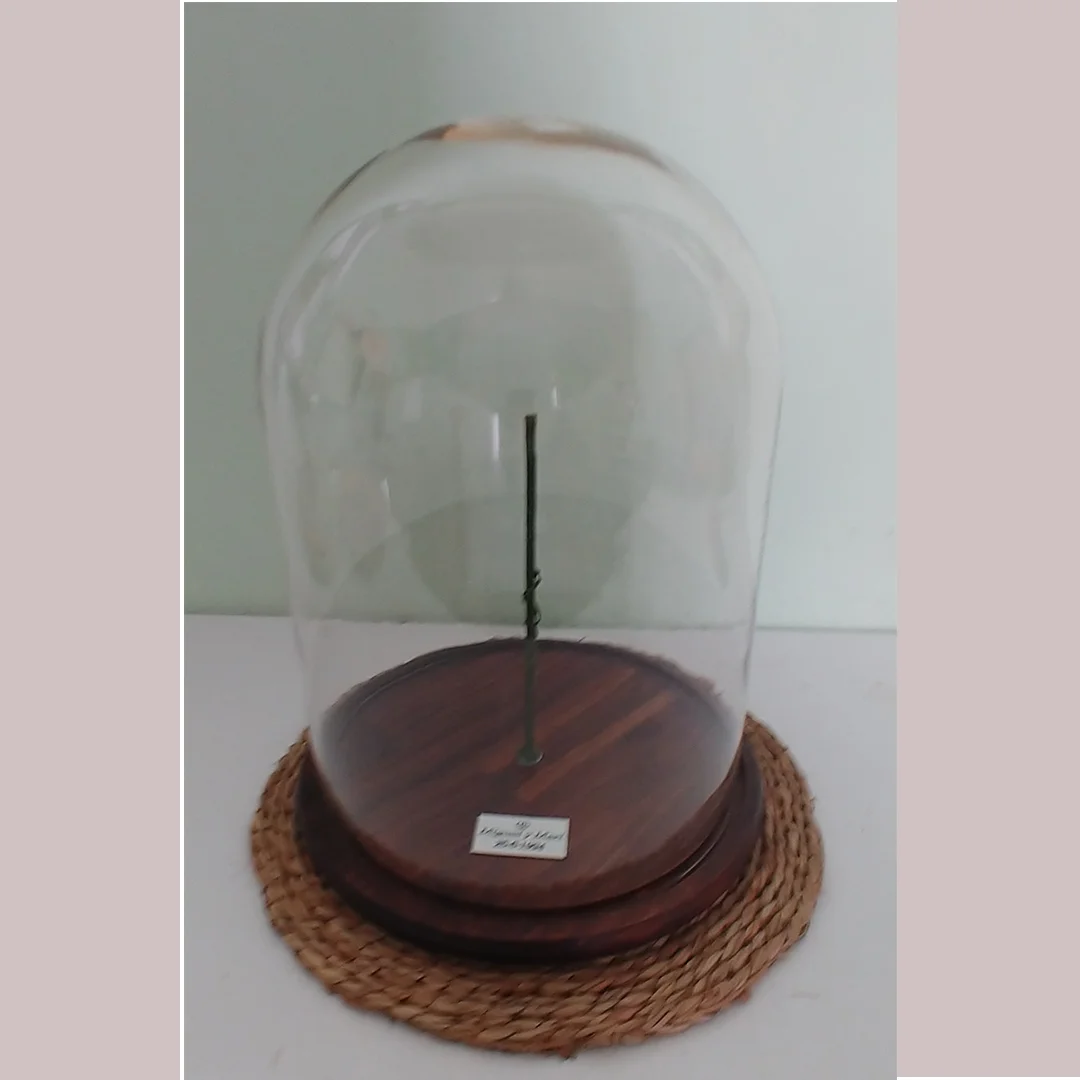 Campana de Cristal con base de madera nogal oscura para Ramos de Novia Preservados